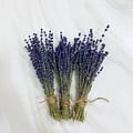 dried lavender