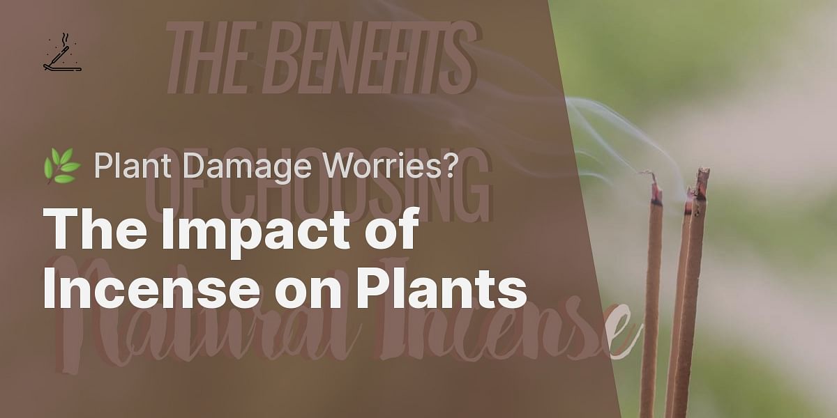 Can burning incense harm plants?