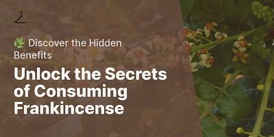 Unlock the Secrets of Consuming Frankincense - 🌿 Discover the Hidden Benefits
